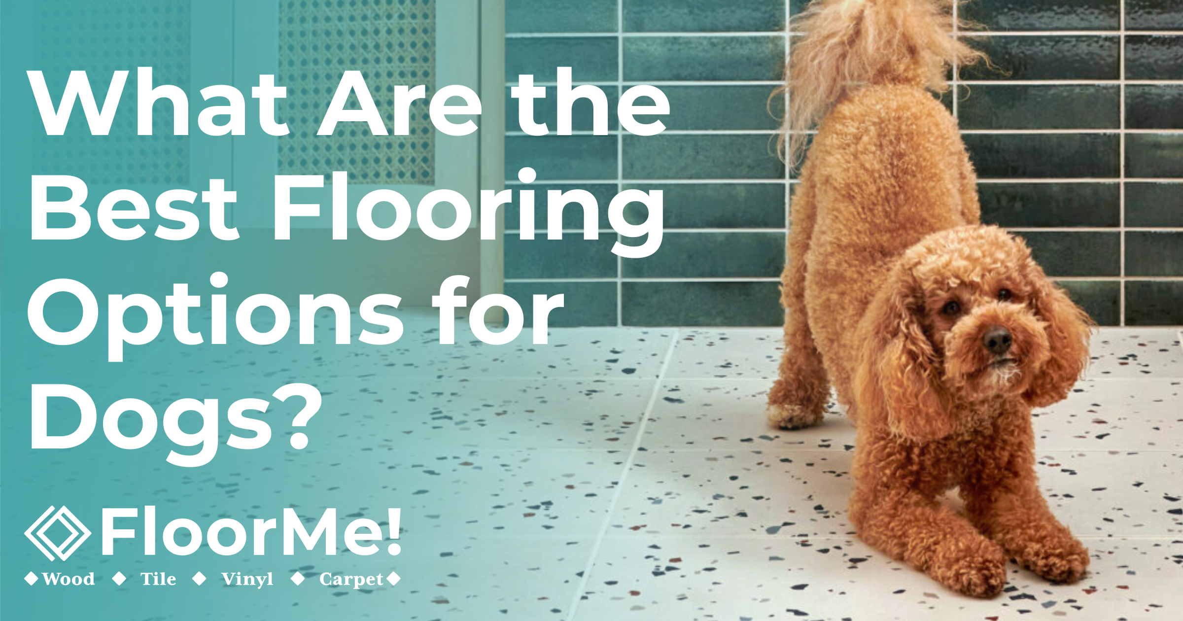 What Are the Best Flooring Options for Dogs? FloorMe!